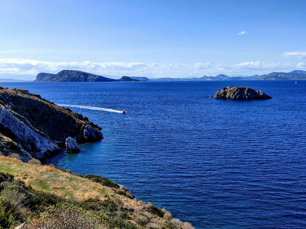 Hydra