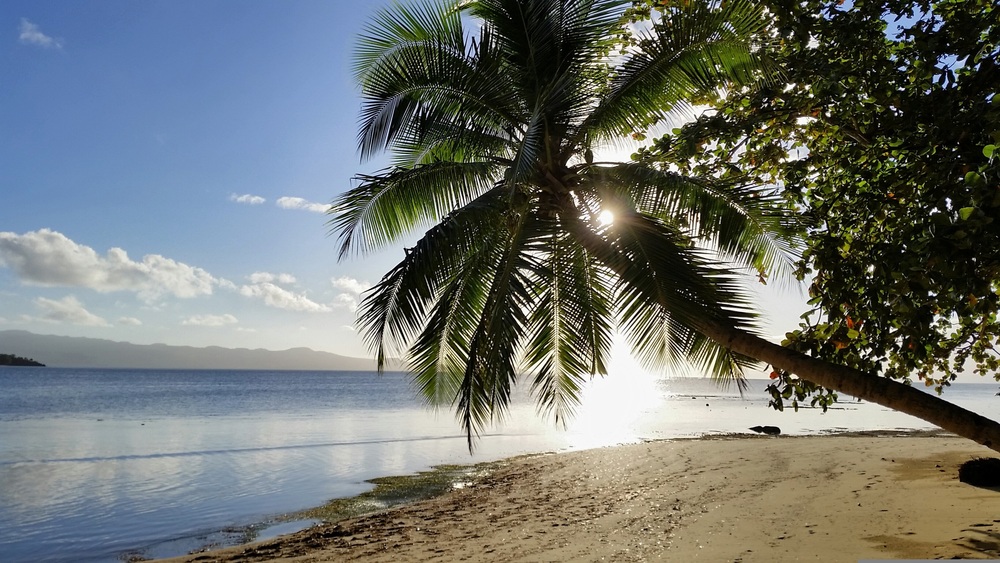 Dravuni Island
