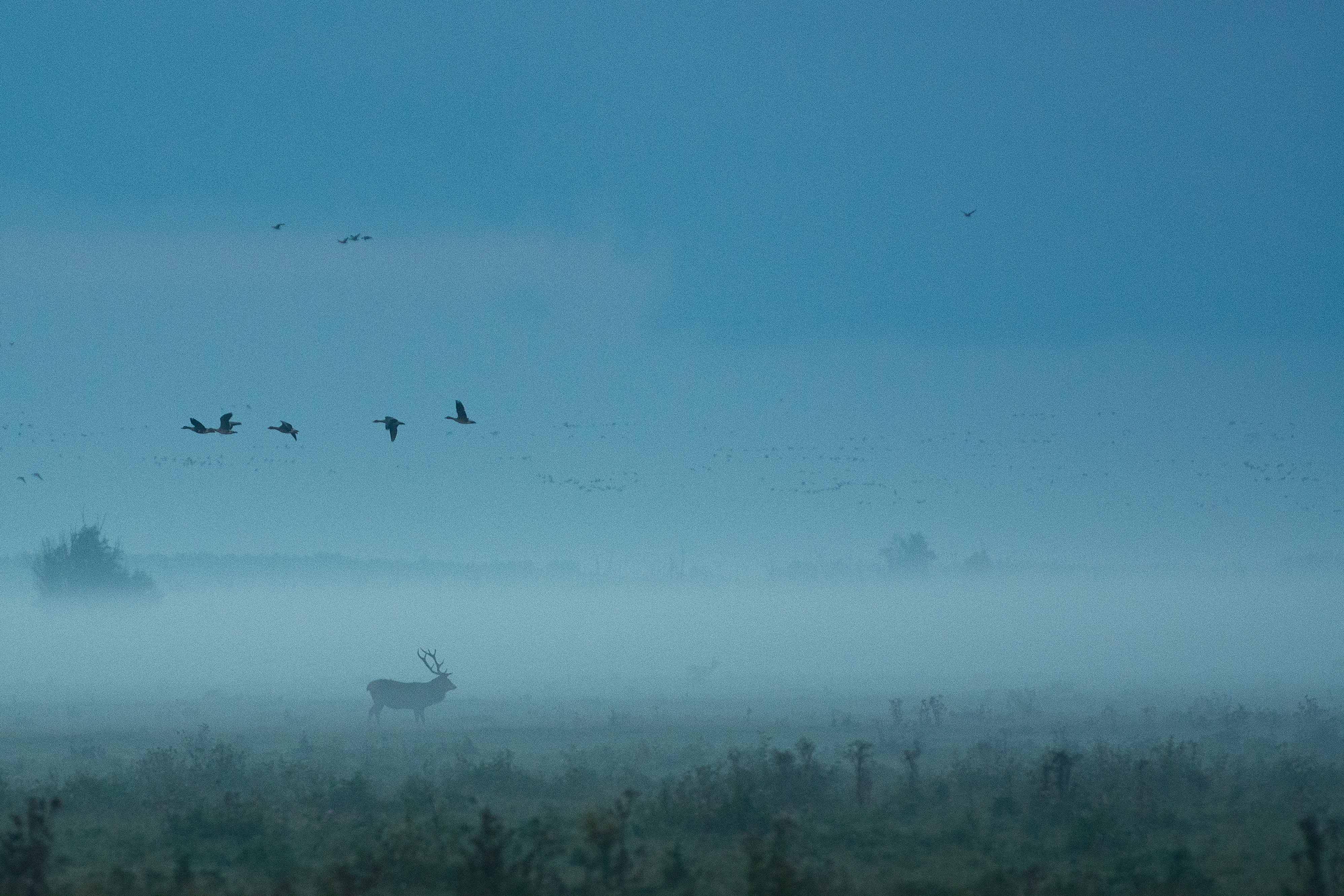 Knarweg, Lelystad, Netherlands