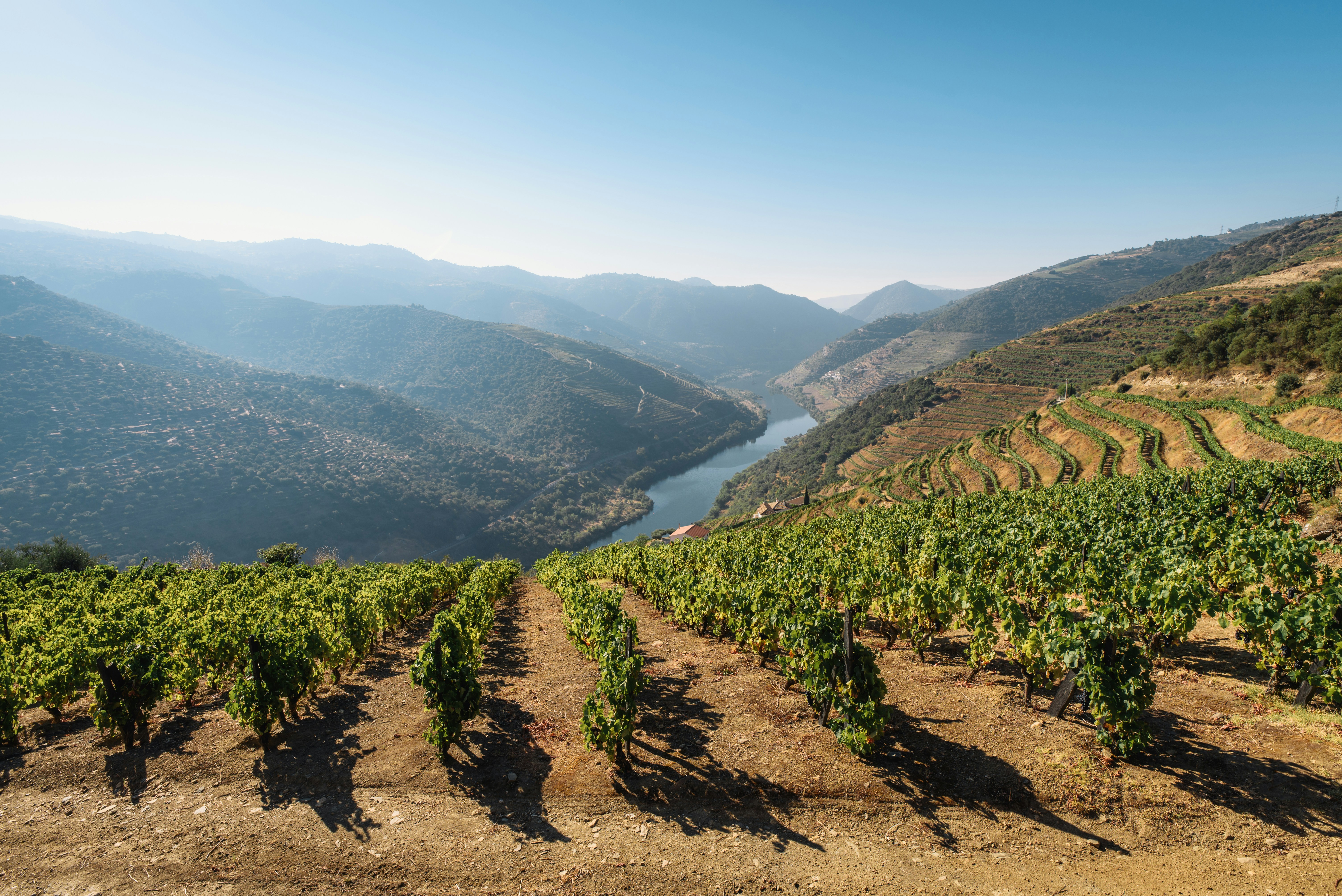 Portugal's River of Gold