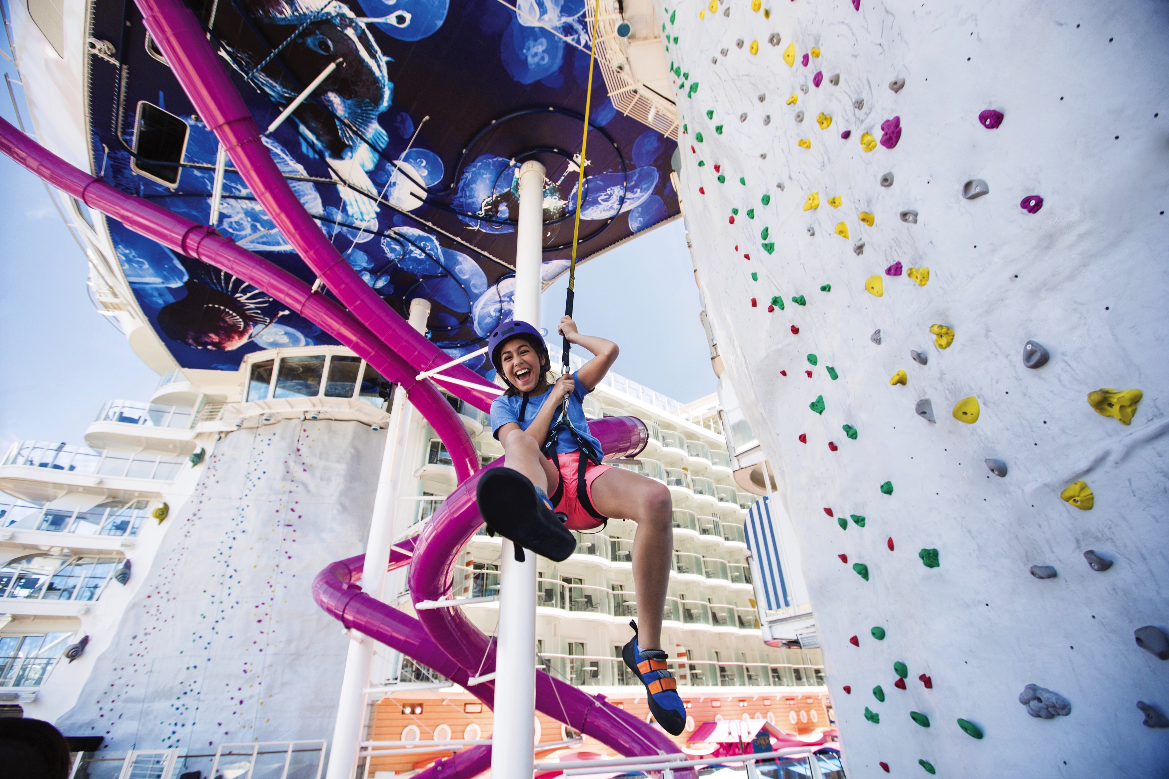 Rock Climbing Wall