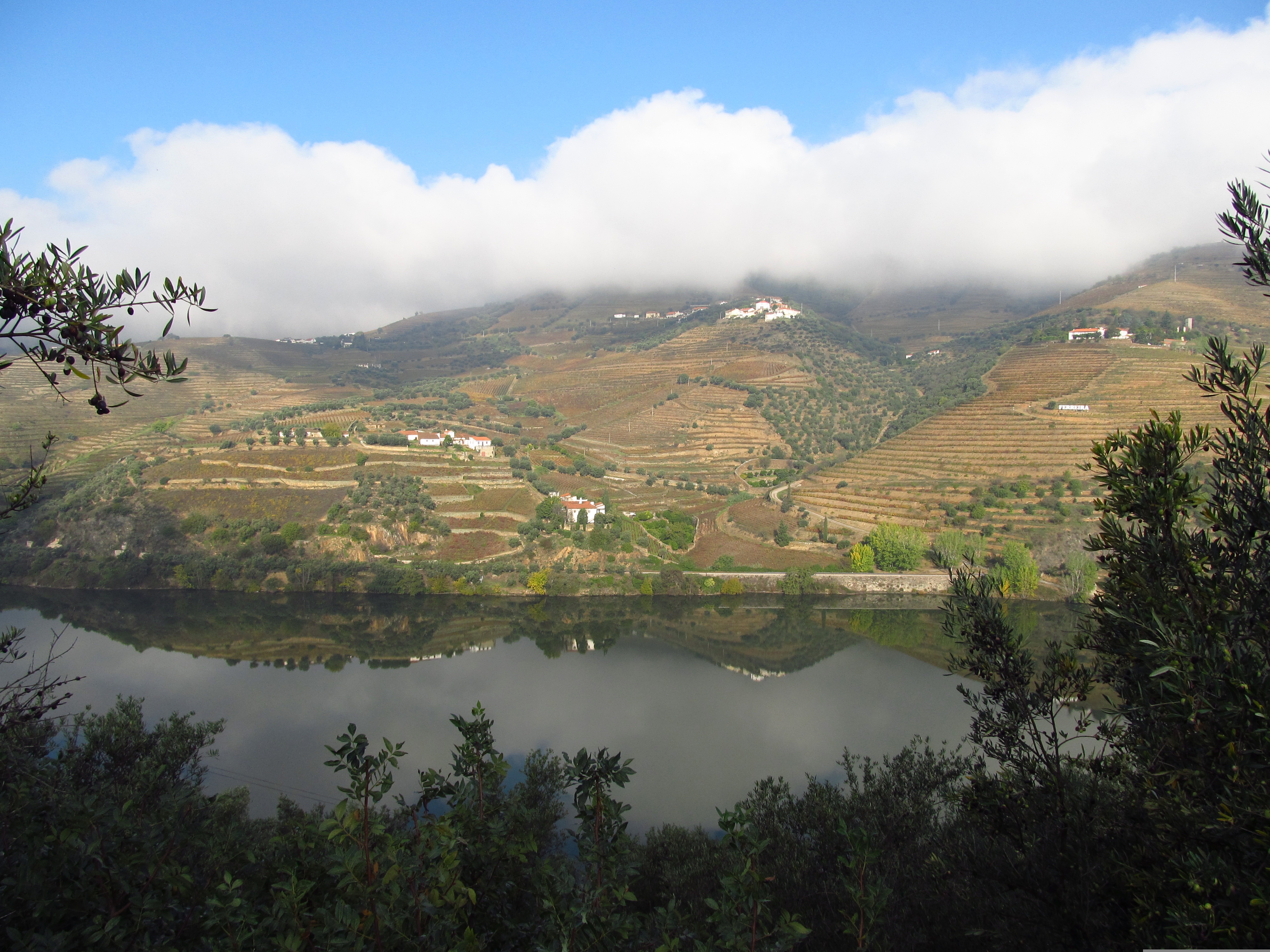 Douro Valley