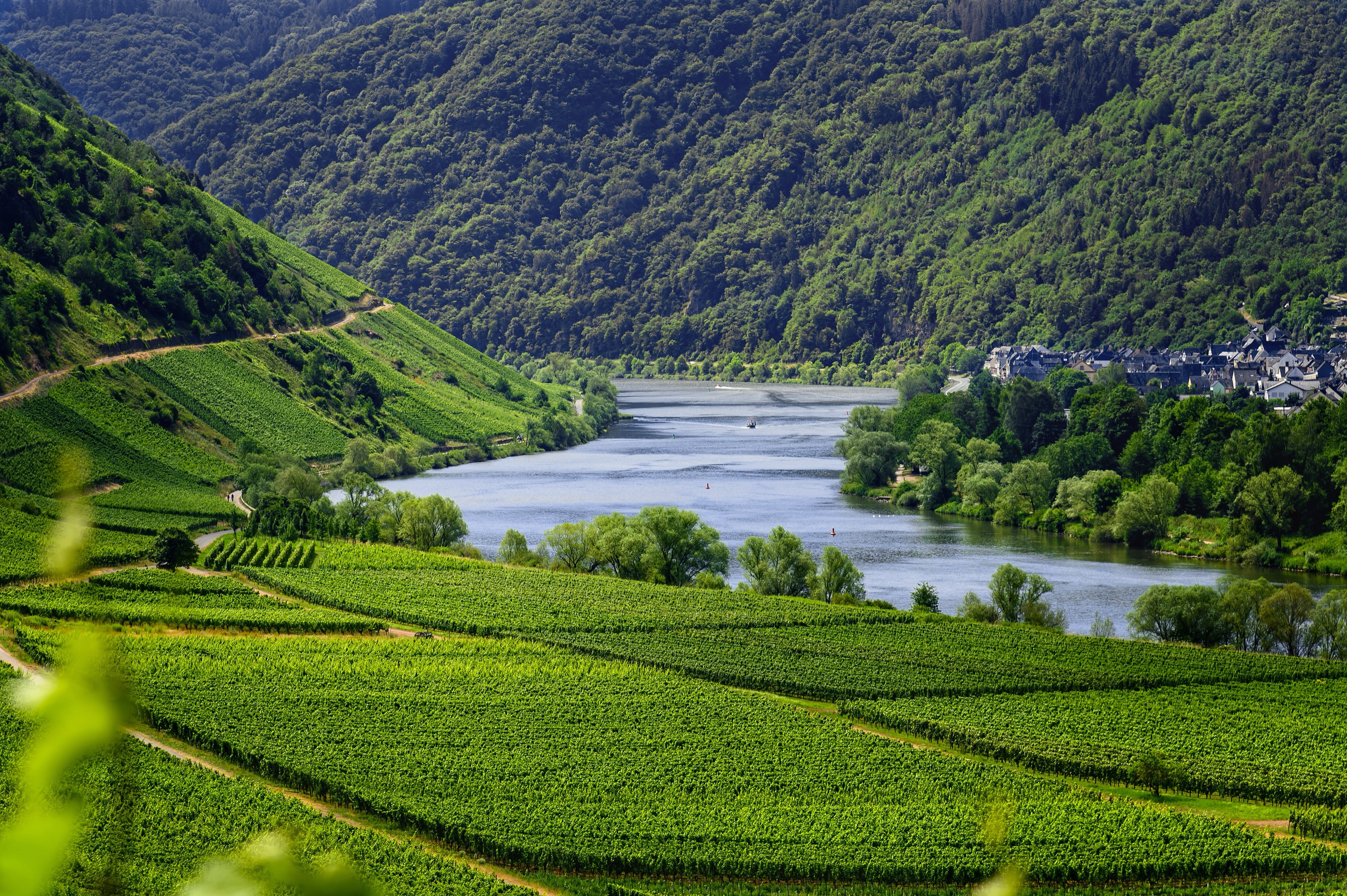 Moselle, Germany
