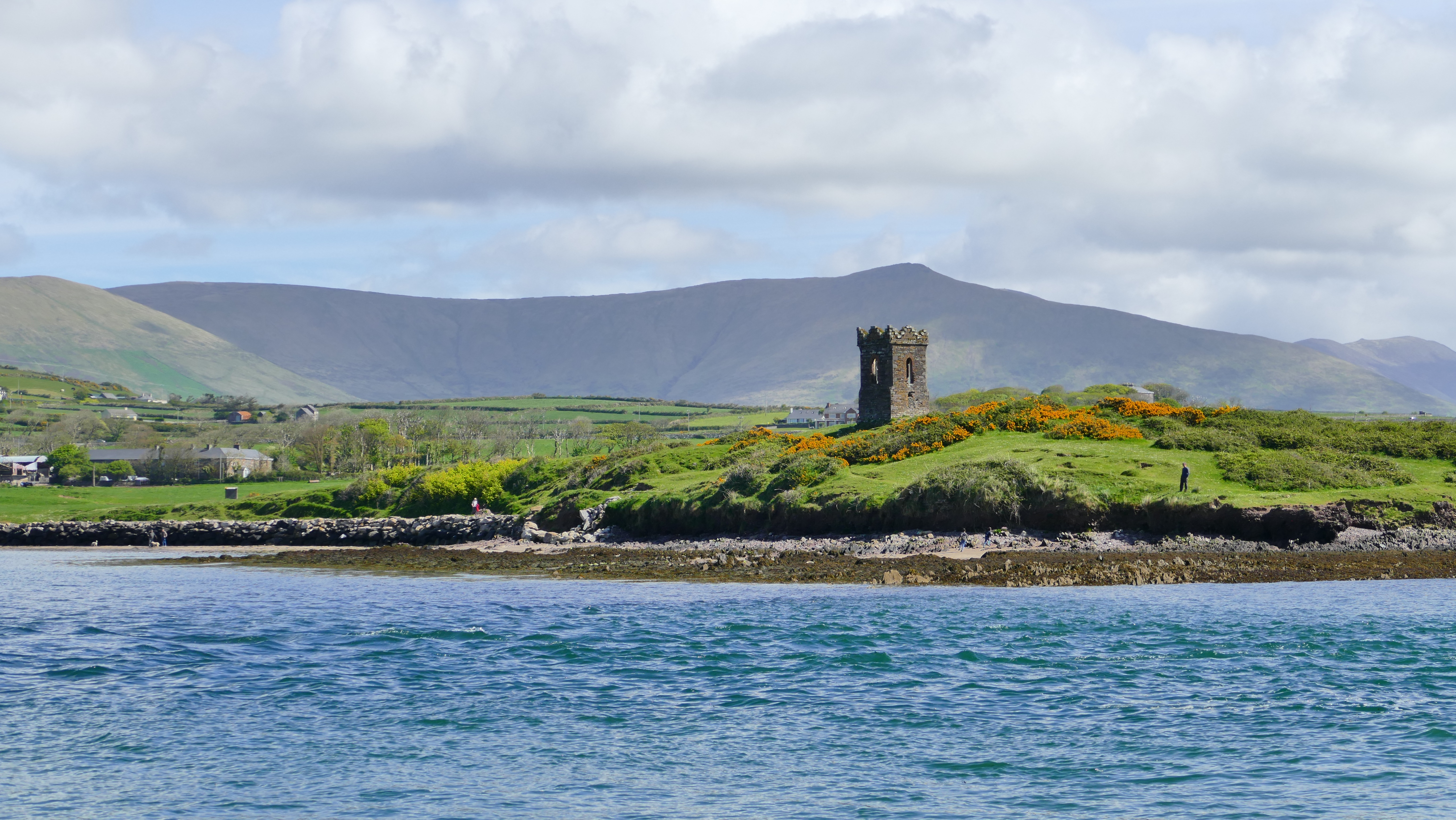 Dingle
