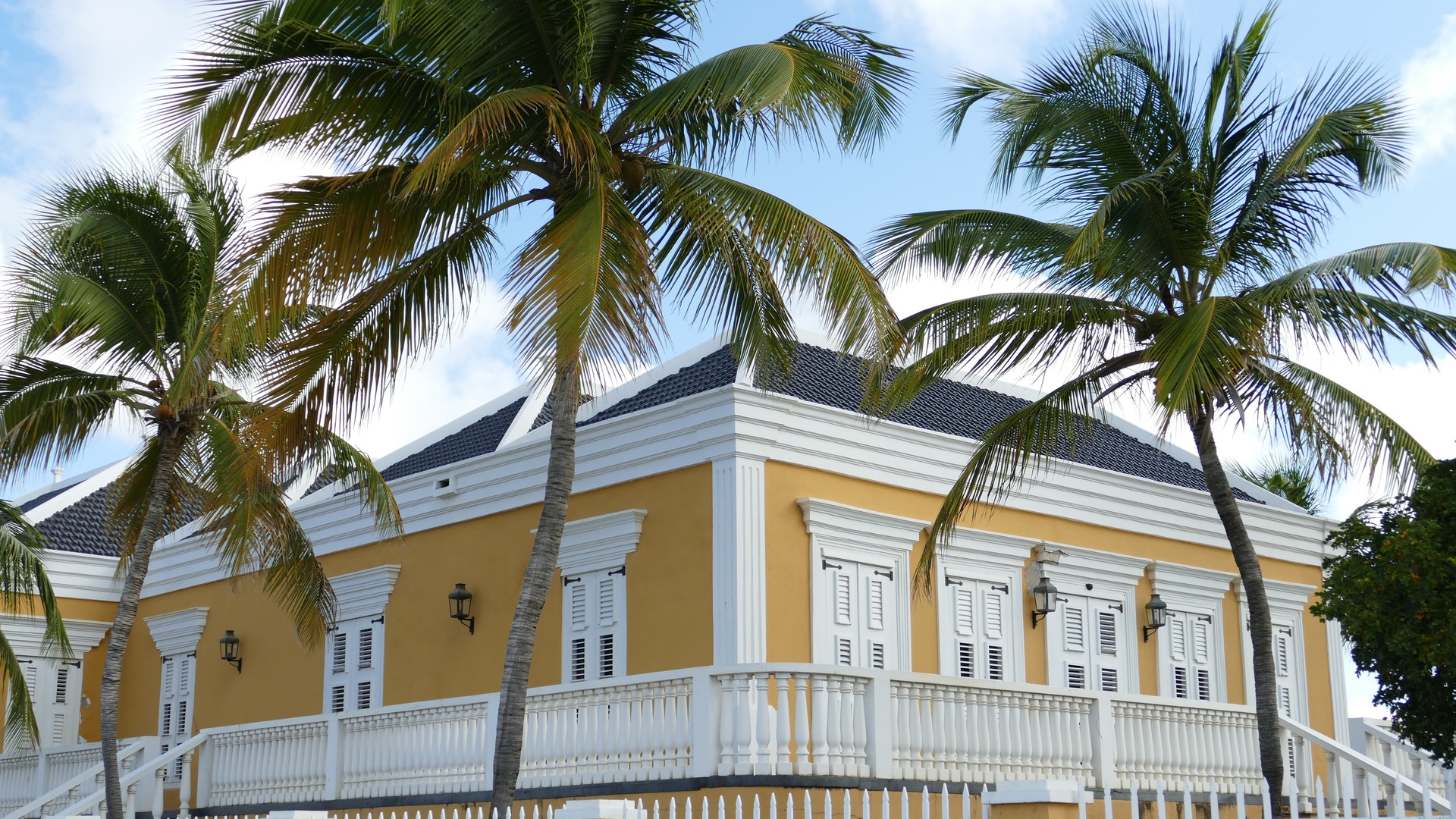 Cruise Image 1