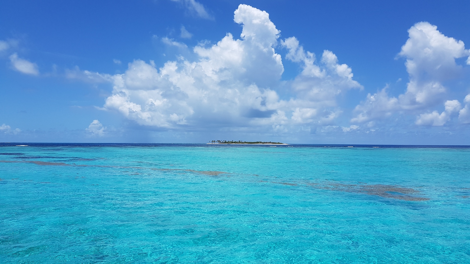Cruise Image 20