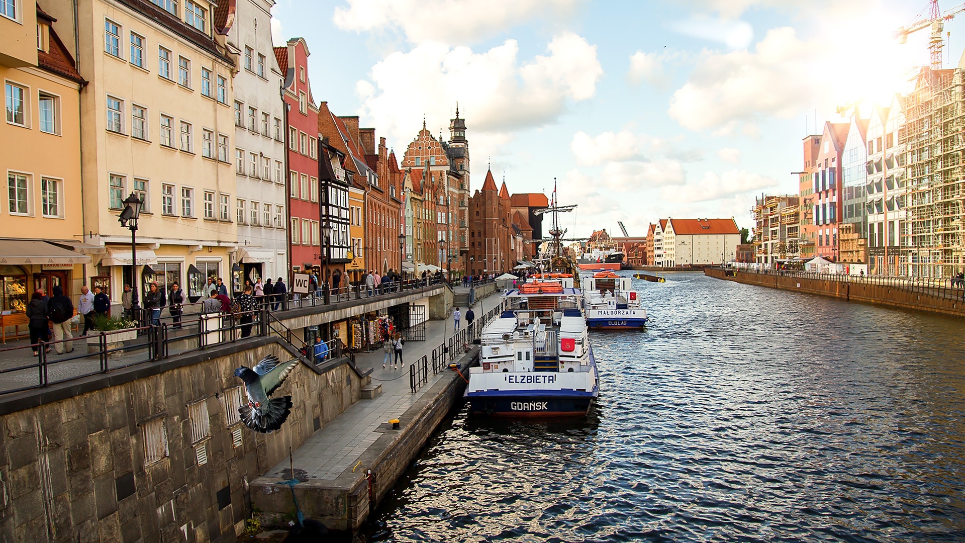 Cruise Image 26
