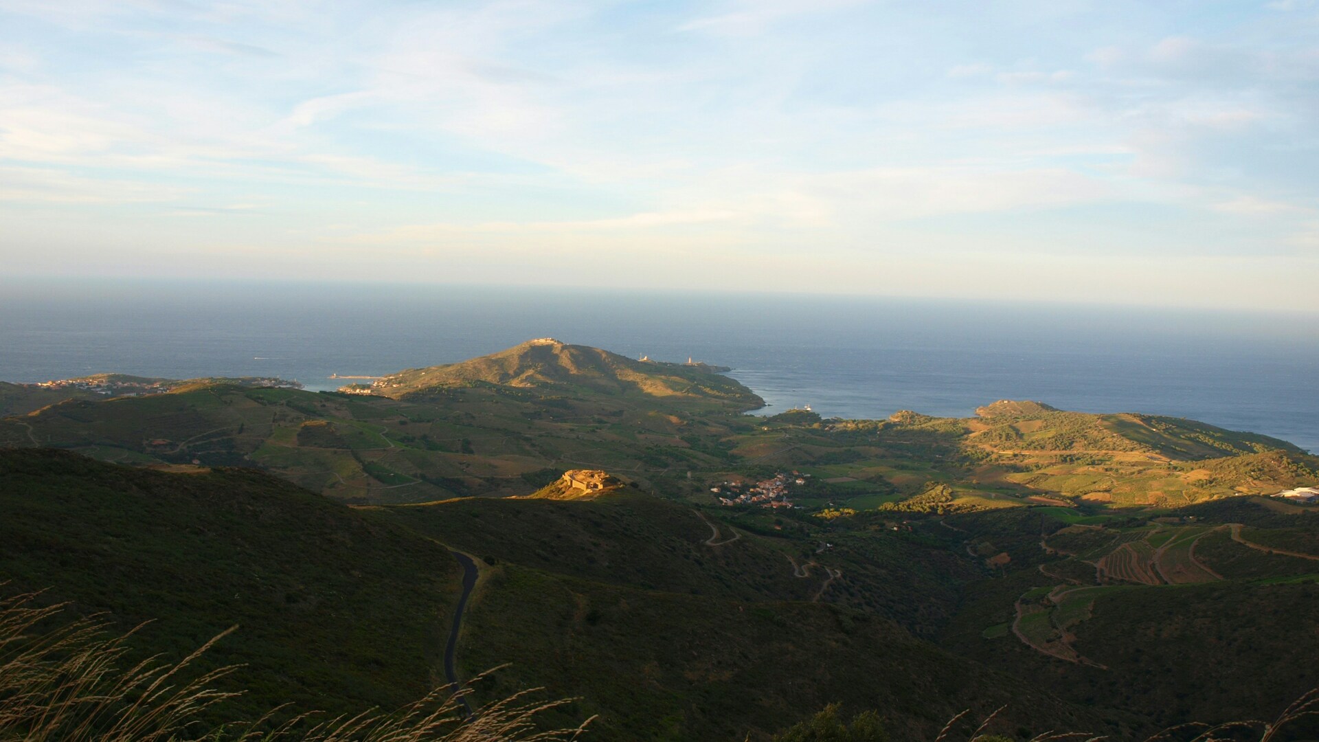 Cruise Image 31