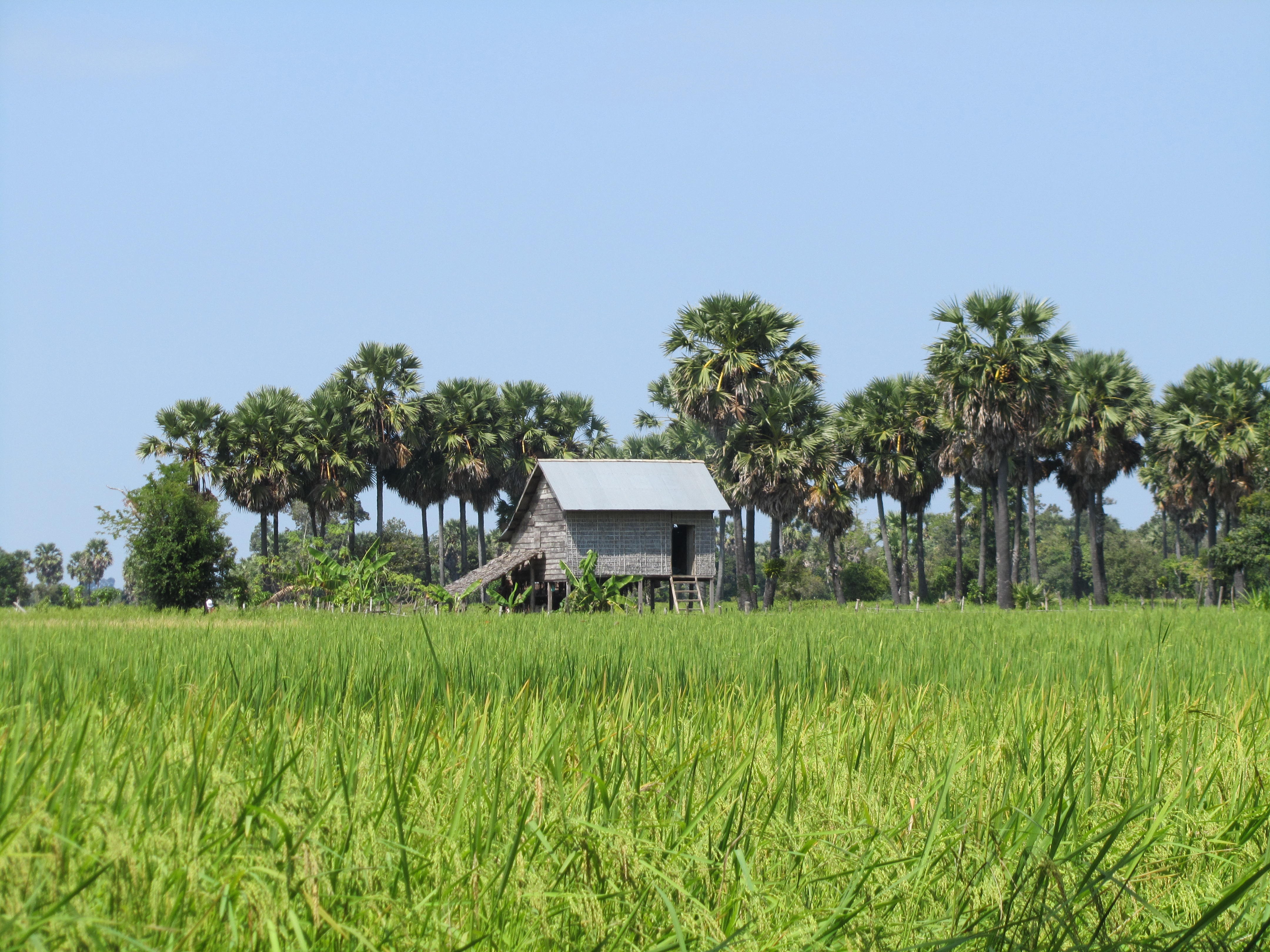 Village life, Cambodia