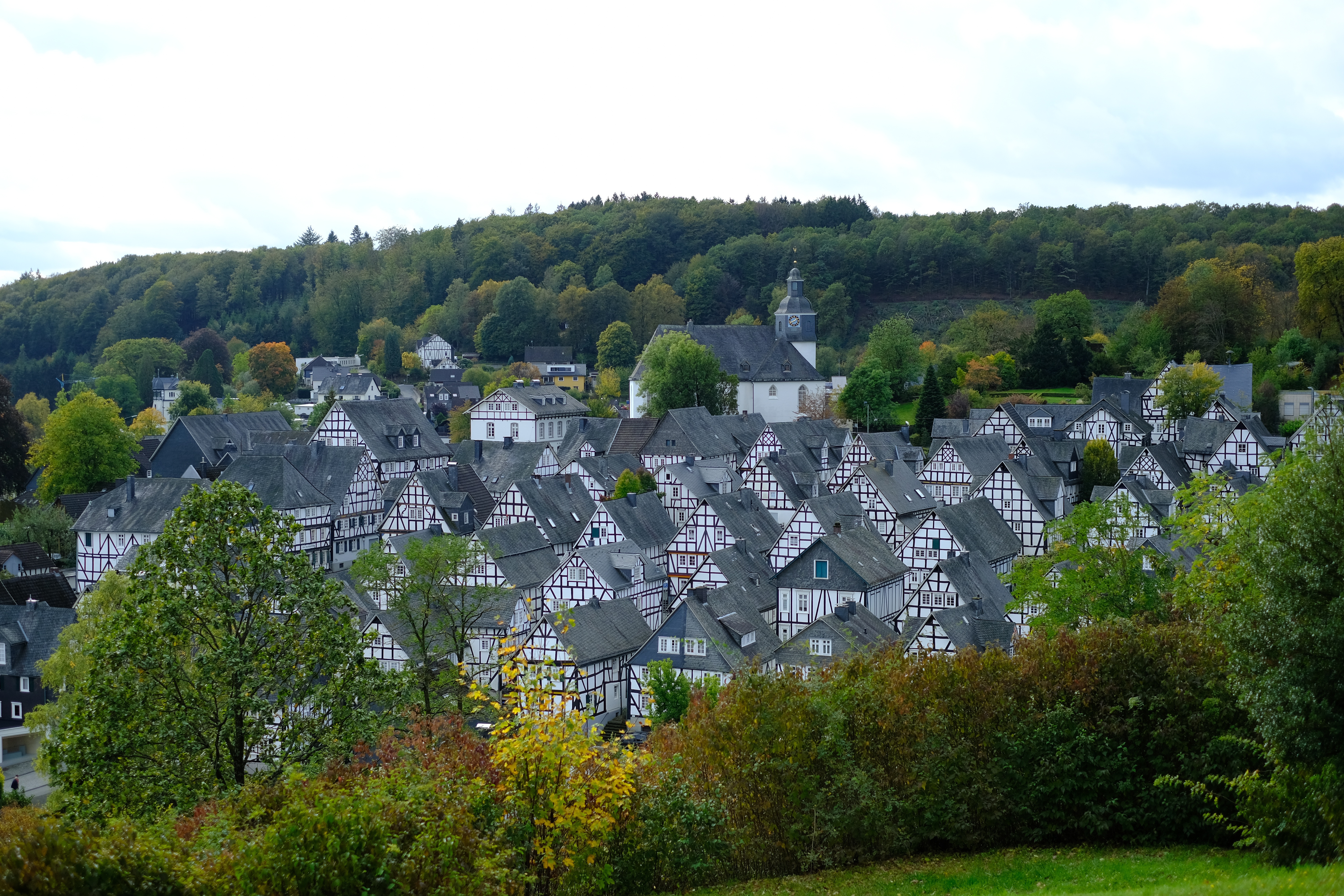 Freudenberg