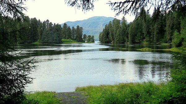 Anan Creek, Wrangell, Alaska, USA