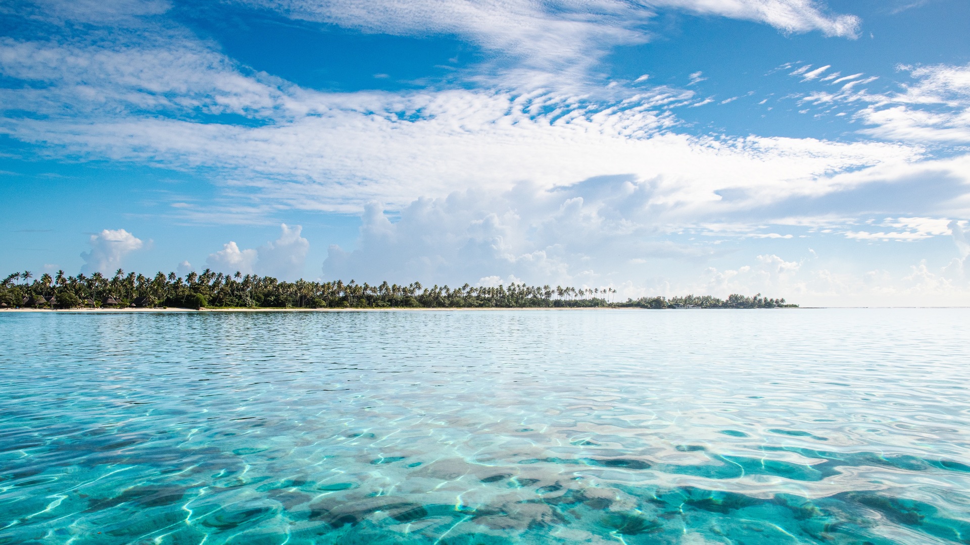 Cruise Image 7