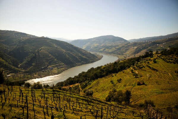 Douro River, Portugal
