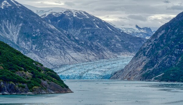 Endicott Arm, Alaska, USA