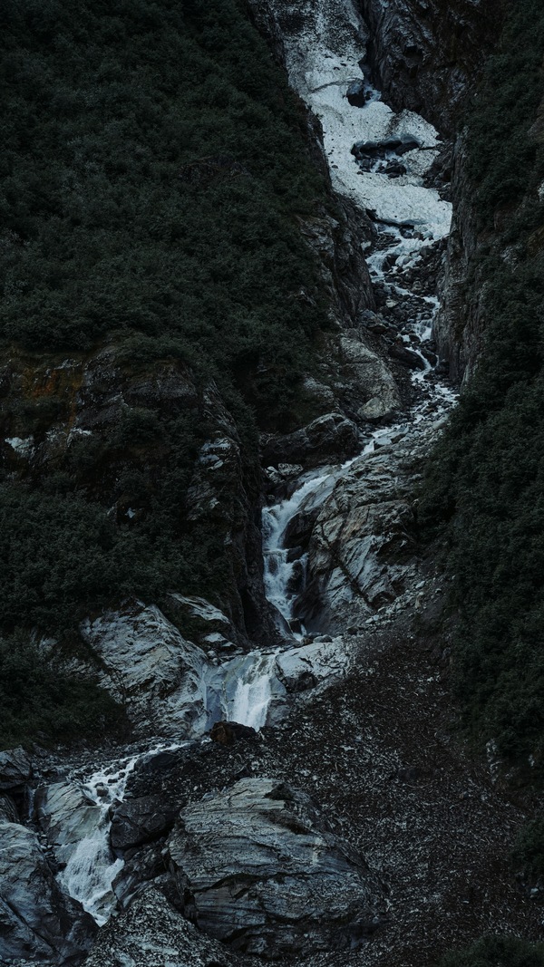 Endicott Arm, Alaska, USA