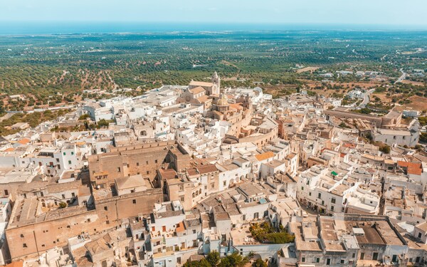 Ostuni, Olive Fields, City, Brindisi, Italy