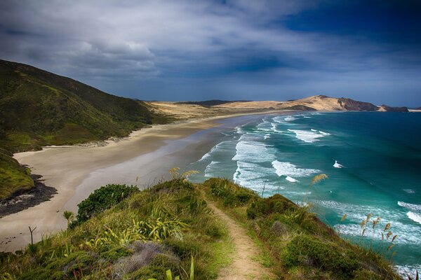 Rugged coast of South Island