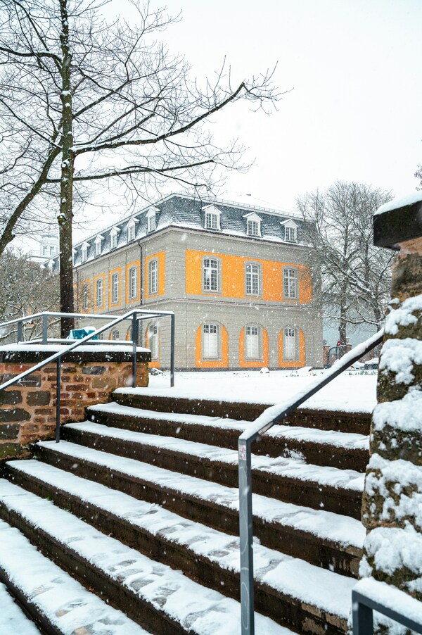 Snow in January, Bonn, Germany