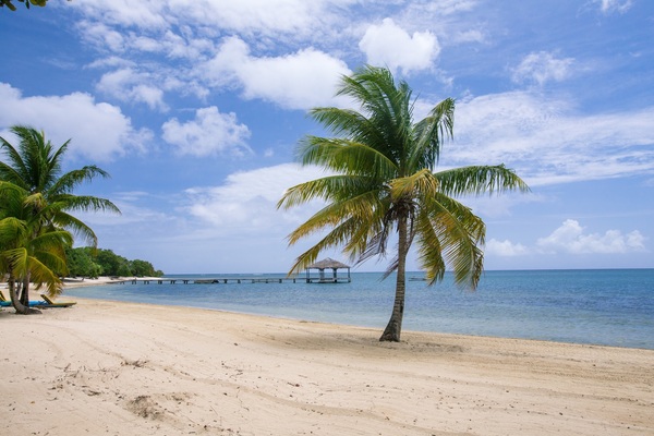 Beach, Roatan Island, Honduras