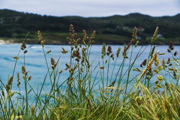 Praia de Santa Comba, Ferrol, Spain