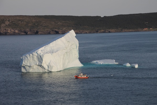 Icebergs in Newfoundland