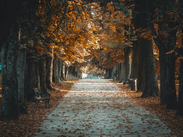 Osijek, Osijek-baranja county, Croatia, Autumn