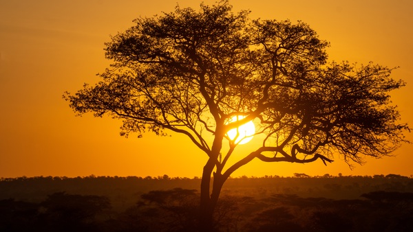 Sunset on the Serengeti
