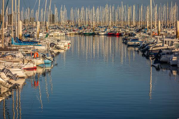The marina at Cherbourg