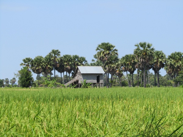 Village life, Cambodia