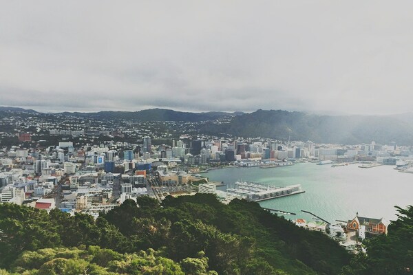 Aerial View of Wellington from Mount Victoria