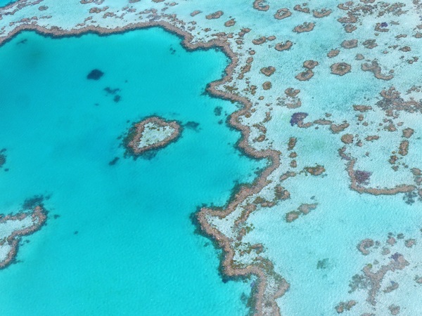 Great Barrier Reef, Cairns