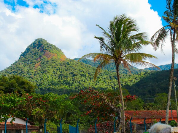 Ilha Grande, Angra dos Reis - RJ, Brazil