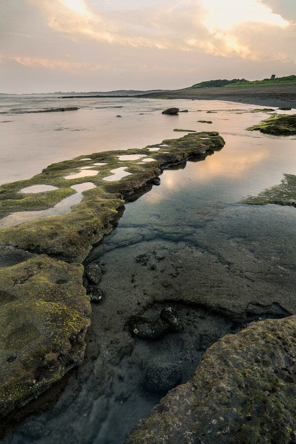 Seogwipo, 제주특별자치도 대한민국