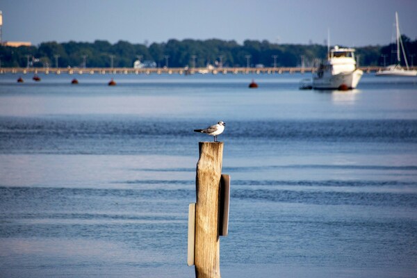 Yorktown, Virginia, USA