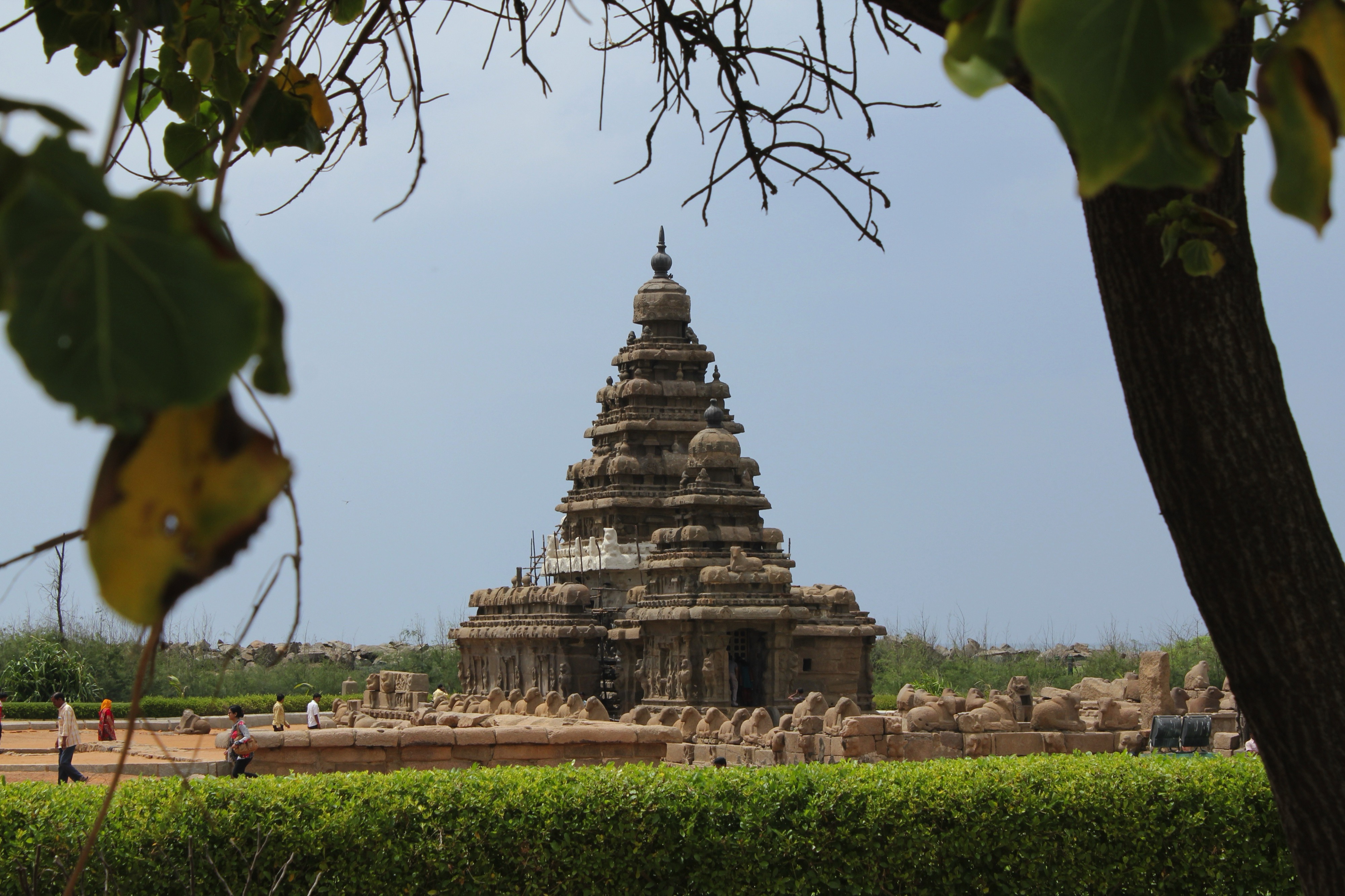 Southern India's Coastal Route: Tamil Nadu to Kerala