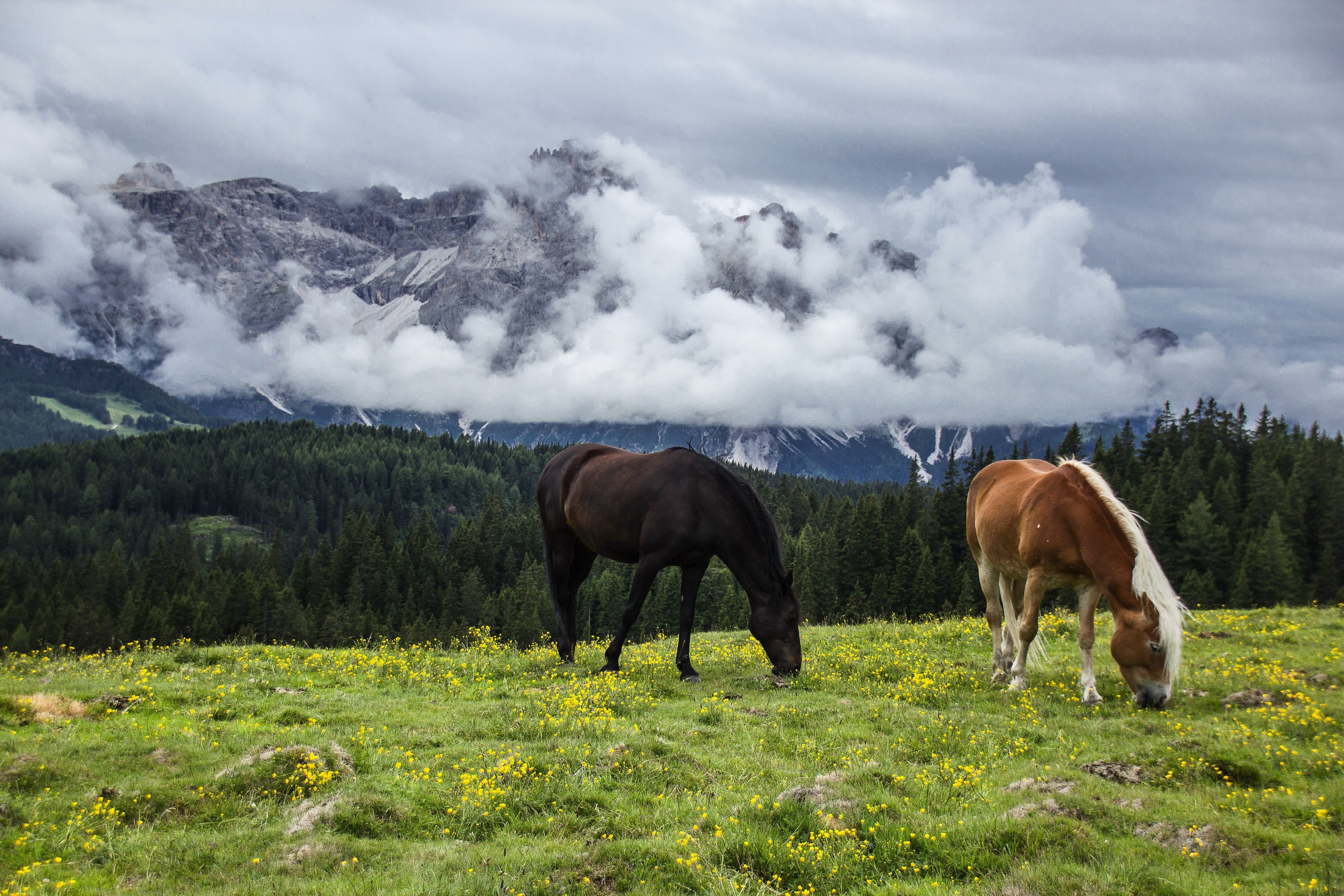 Gorkhi Terelj National Par