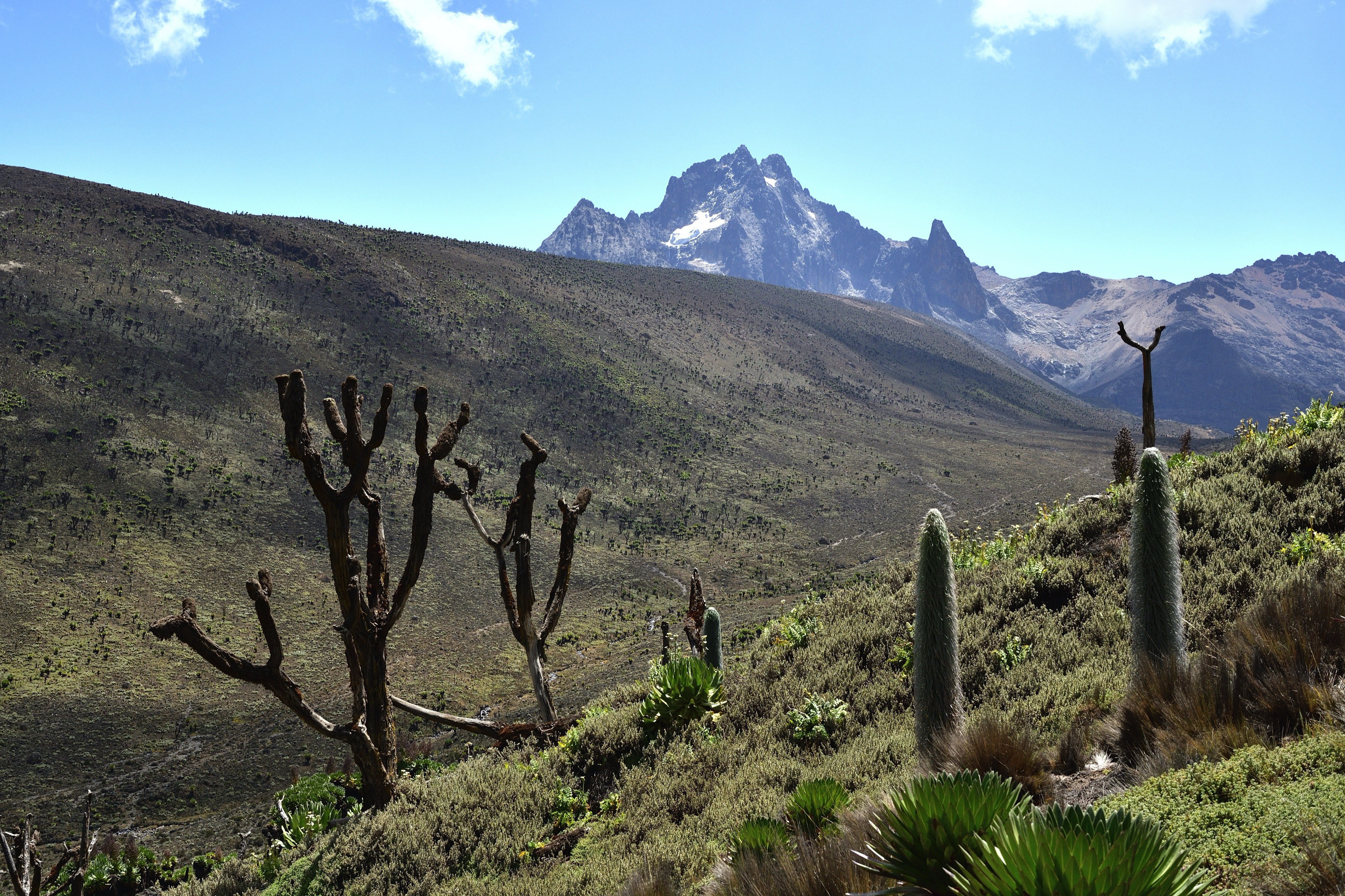 Mount Kenya