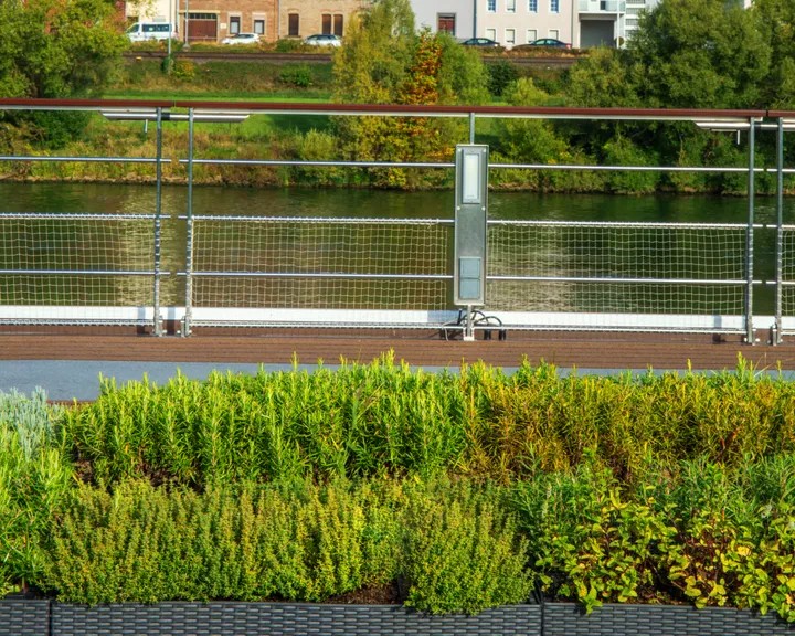 Herb Garden