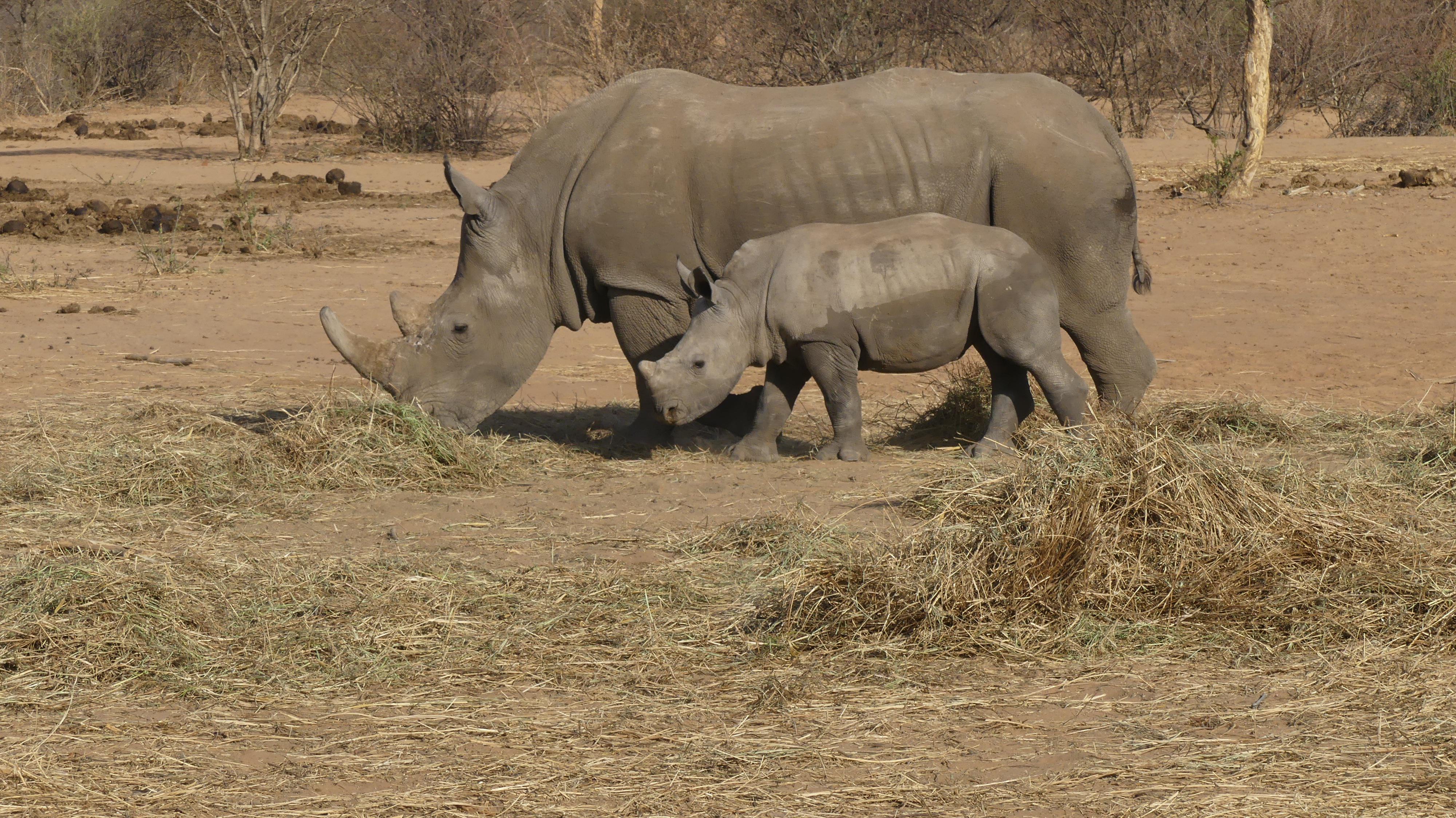 Waterberg Plateau National Park