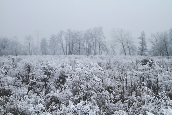 Neumühl, Kehl, Germany