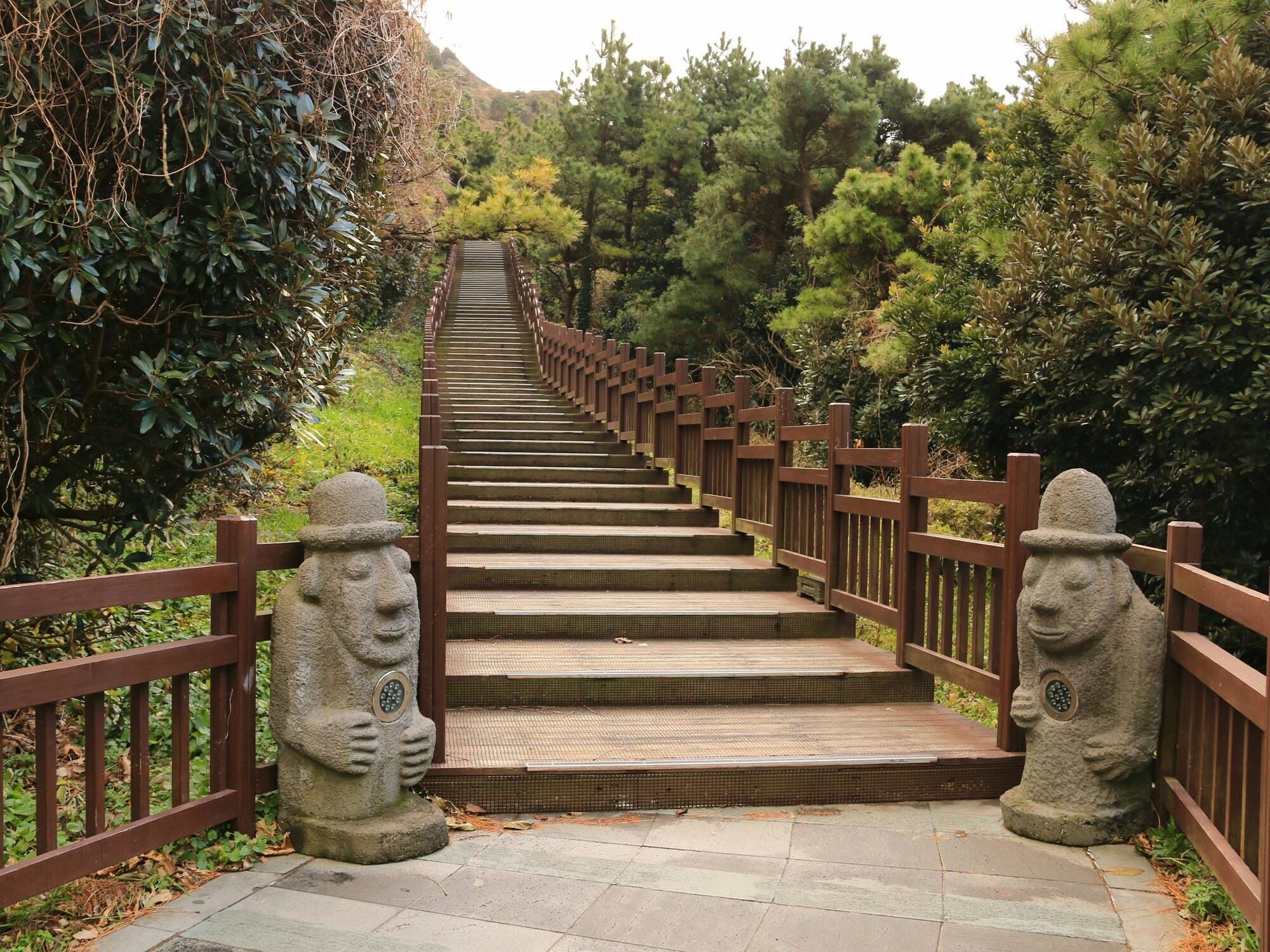 Slide 190800
