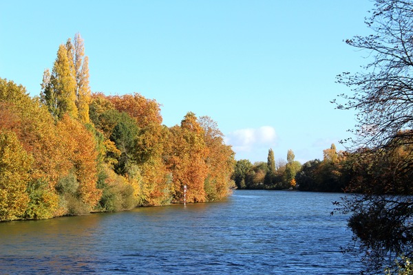 Conflans-Sainte-Honorine
