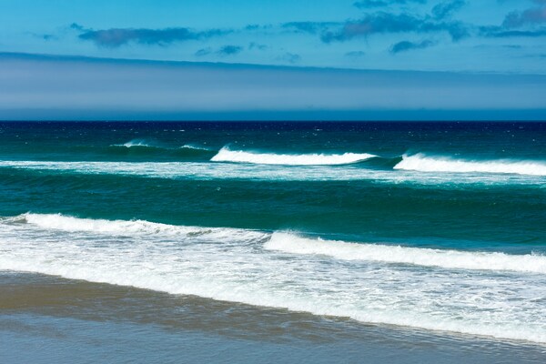 St Clair Beach, Saint Clair, Dunedin, New Zealand