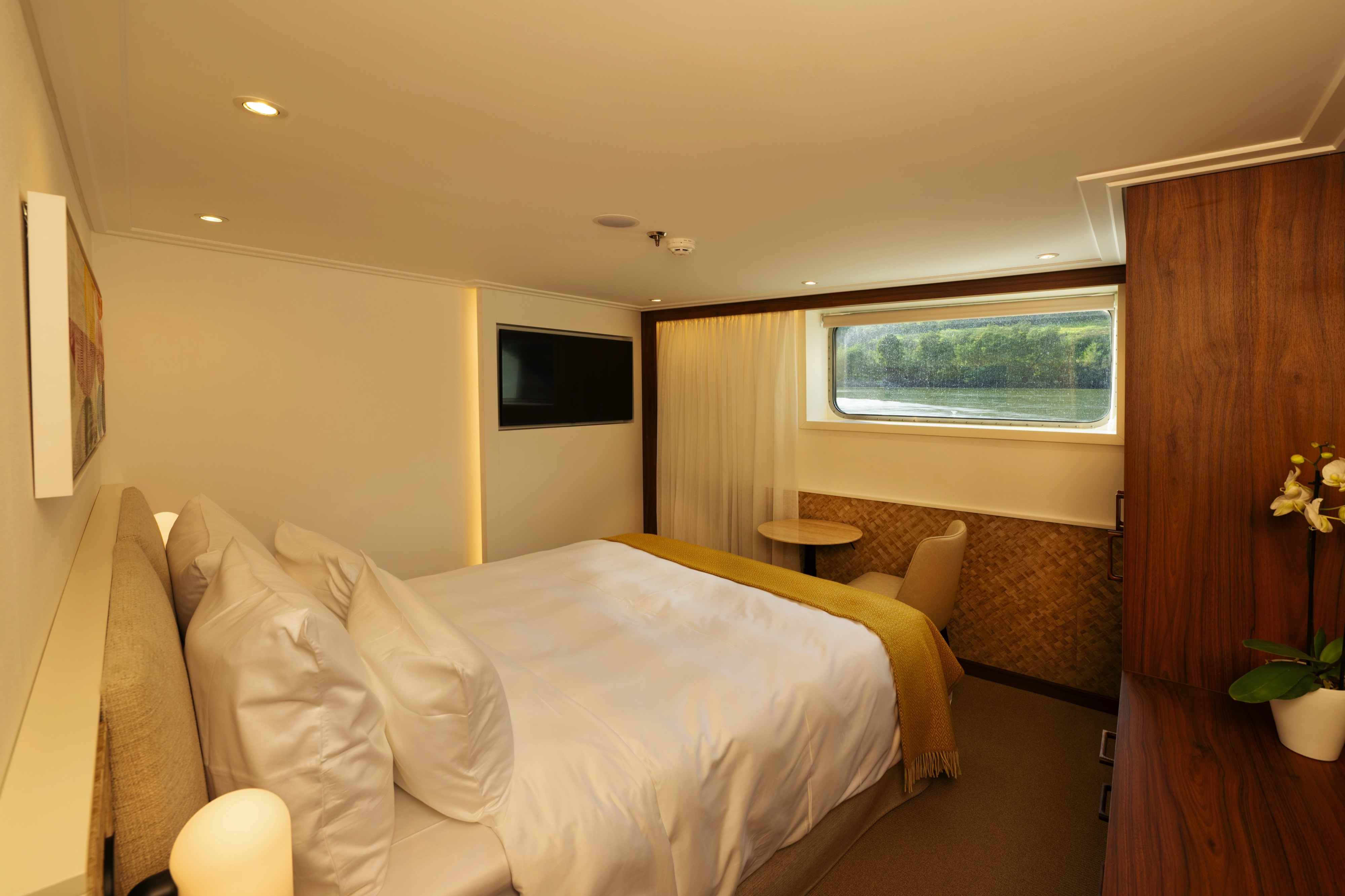 Avalon Deluxe Stateroom
