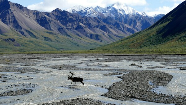 Denali National Park - Alaska, US