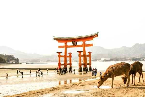 Itsukushima Shrine, Miyajima