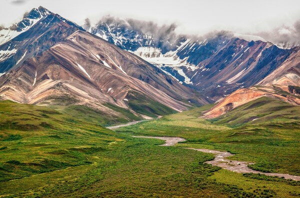 Denali National Park and Preserve, AK, USA