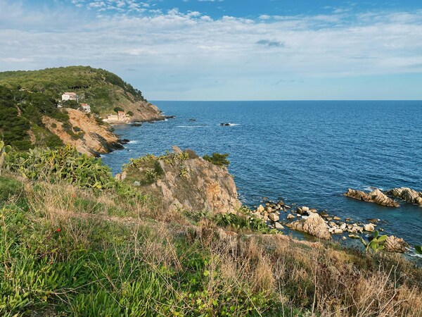 Carretera de Sant Esteve, 2, Palamós, España