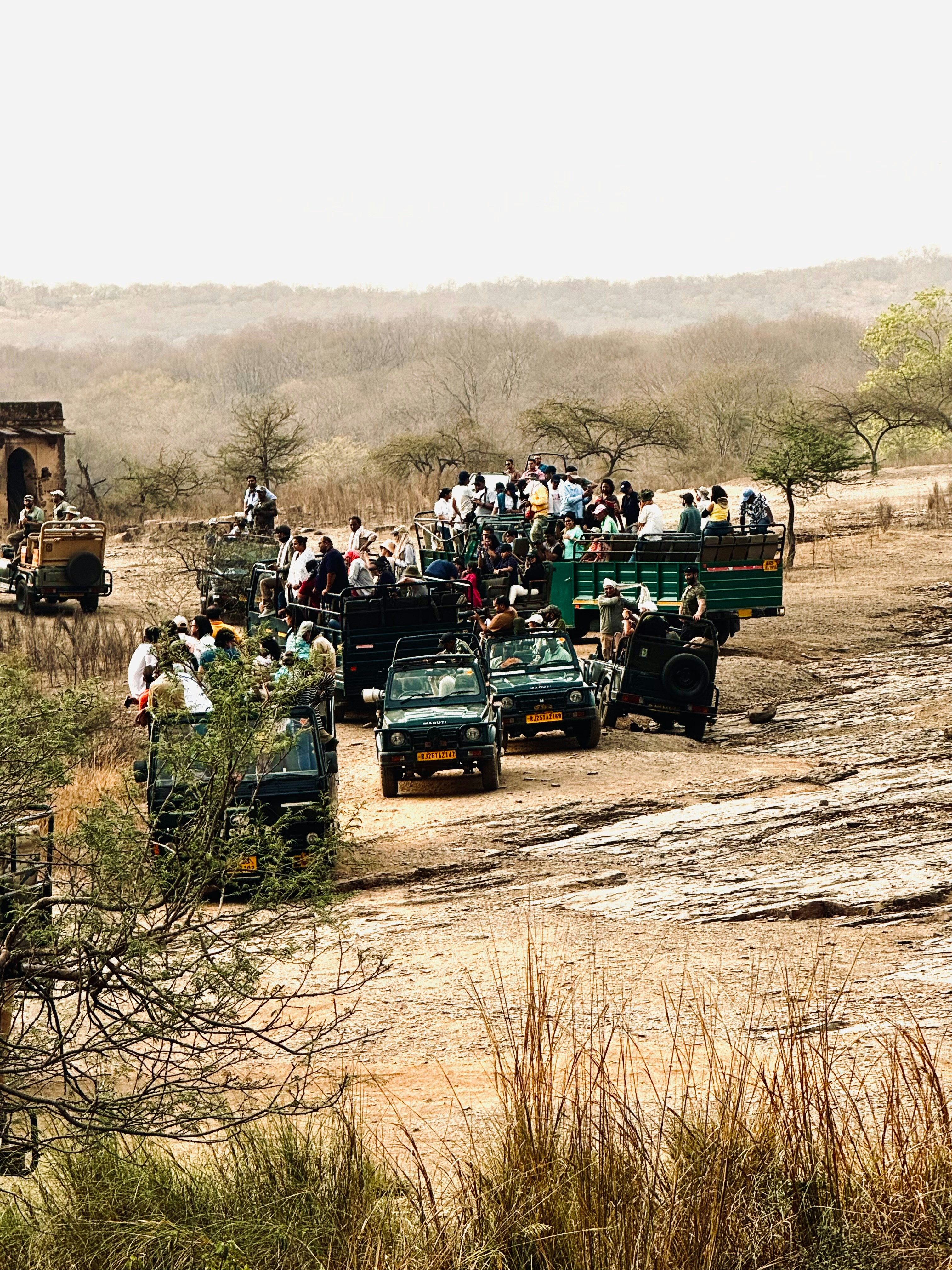Ranthambore National Park