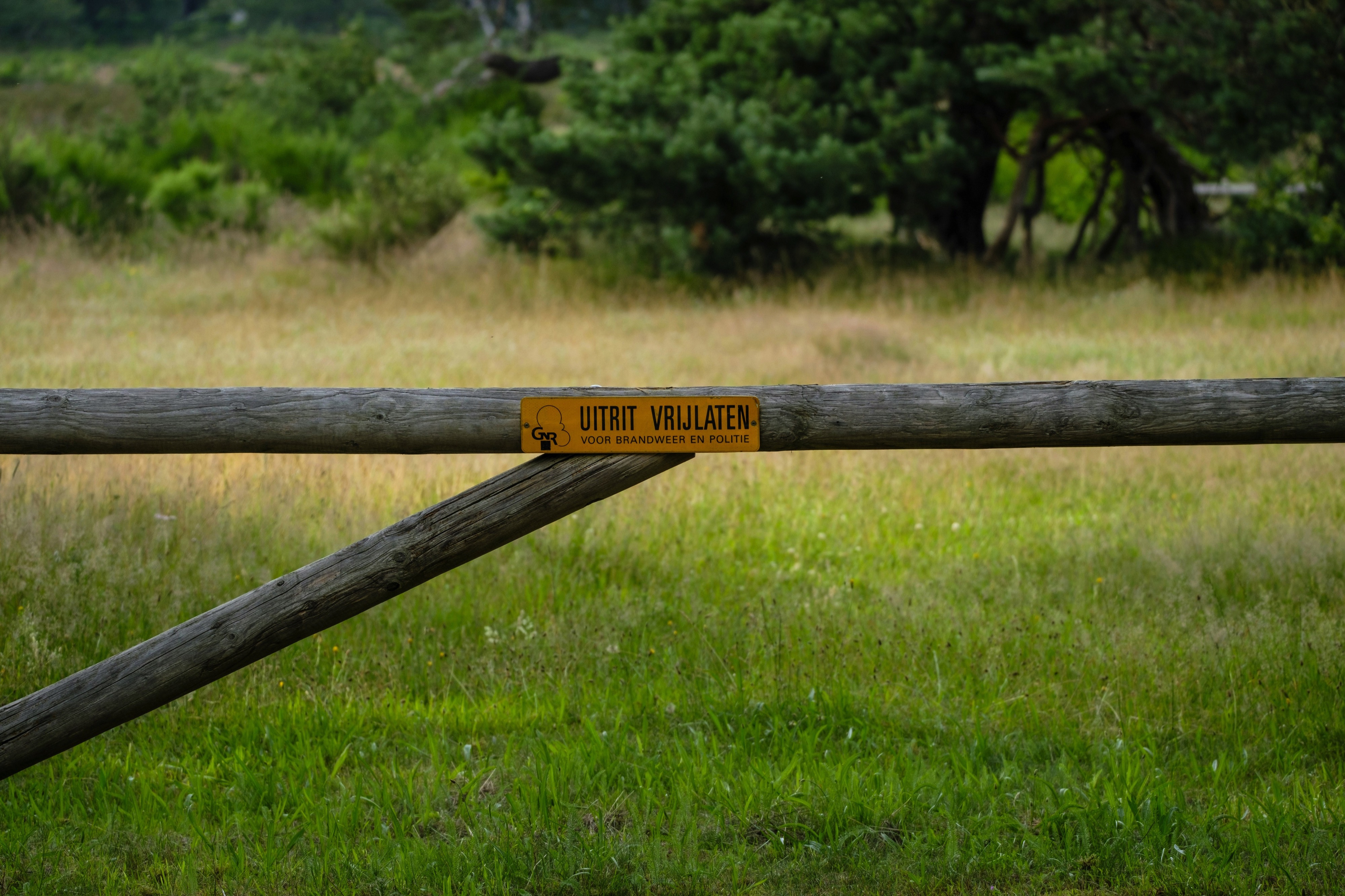 Limitische Heide, Huizen, Netherlands